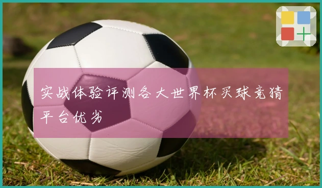 实战体验评测各大世界杯买球竞猜平台优劣