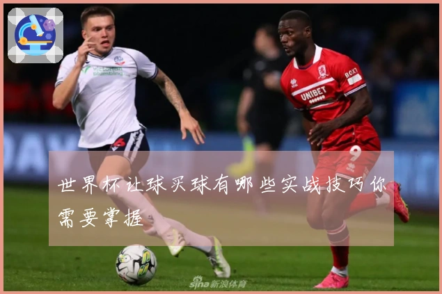 世界杯让球买球有哪些实战技巧你需要掌握